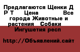 Предлагаются Щенки Д.Р.Т.  › Цена ­ 15 000 - Все города Животные и растения » Собаки   . Ингушетия респ.